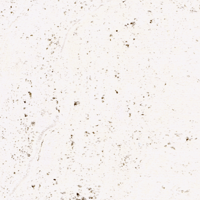 Novona Vein Cut Travertine Natural Stone Tile Paver